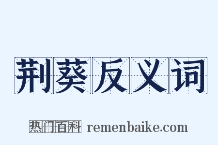 荆葵反义词是什么意思的图片